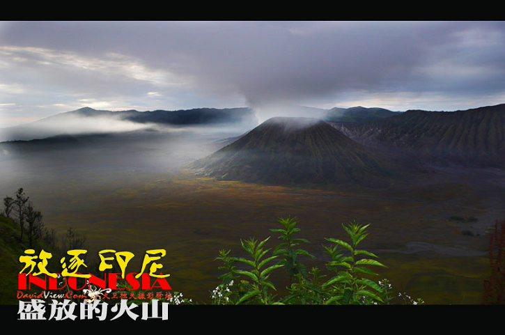 [心情游记]《放逐印尼.盛放的火山》吴志伟◎行摄的灵魂系列-第1张图片-太平洋在线下载