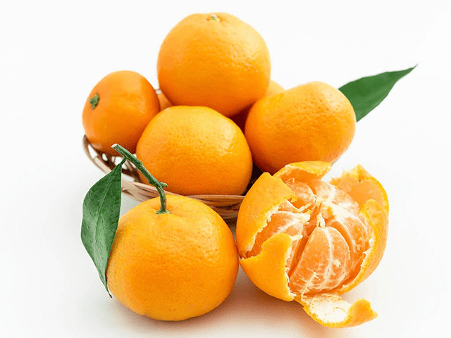 橘子和苹果的笑话中文版:吃橘子上火，吃橙子败火？到底是真假？春天应该吃什么水果