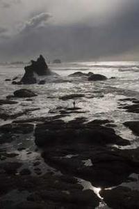 鲸鱼语音苹果版下载安卓版-第3张图片-太平洋在线下载