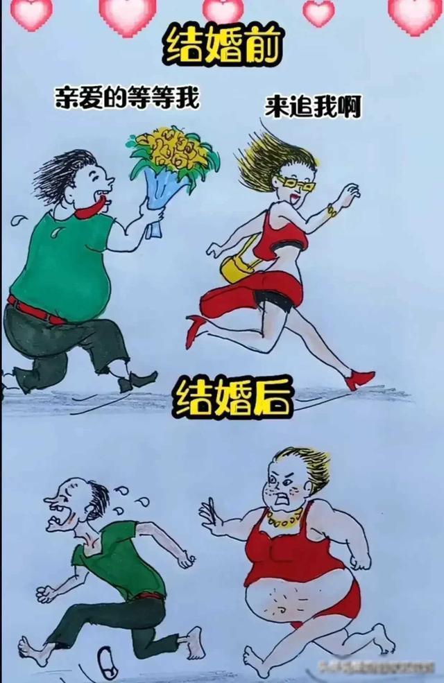 晴天小狗1手机版别动晴天小狗手机版下载