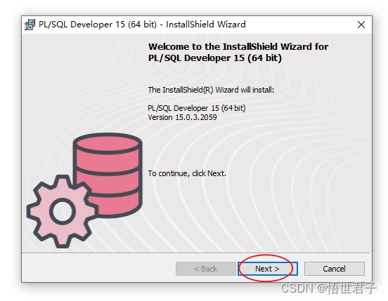 c无客户端oracleplsql不安装oracle客户端连接远程数据库-第2张图片-太平洋在线下载