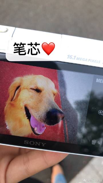 天小狗客户端天小狗软件助手-第2张图片-太平洋在线下载